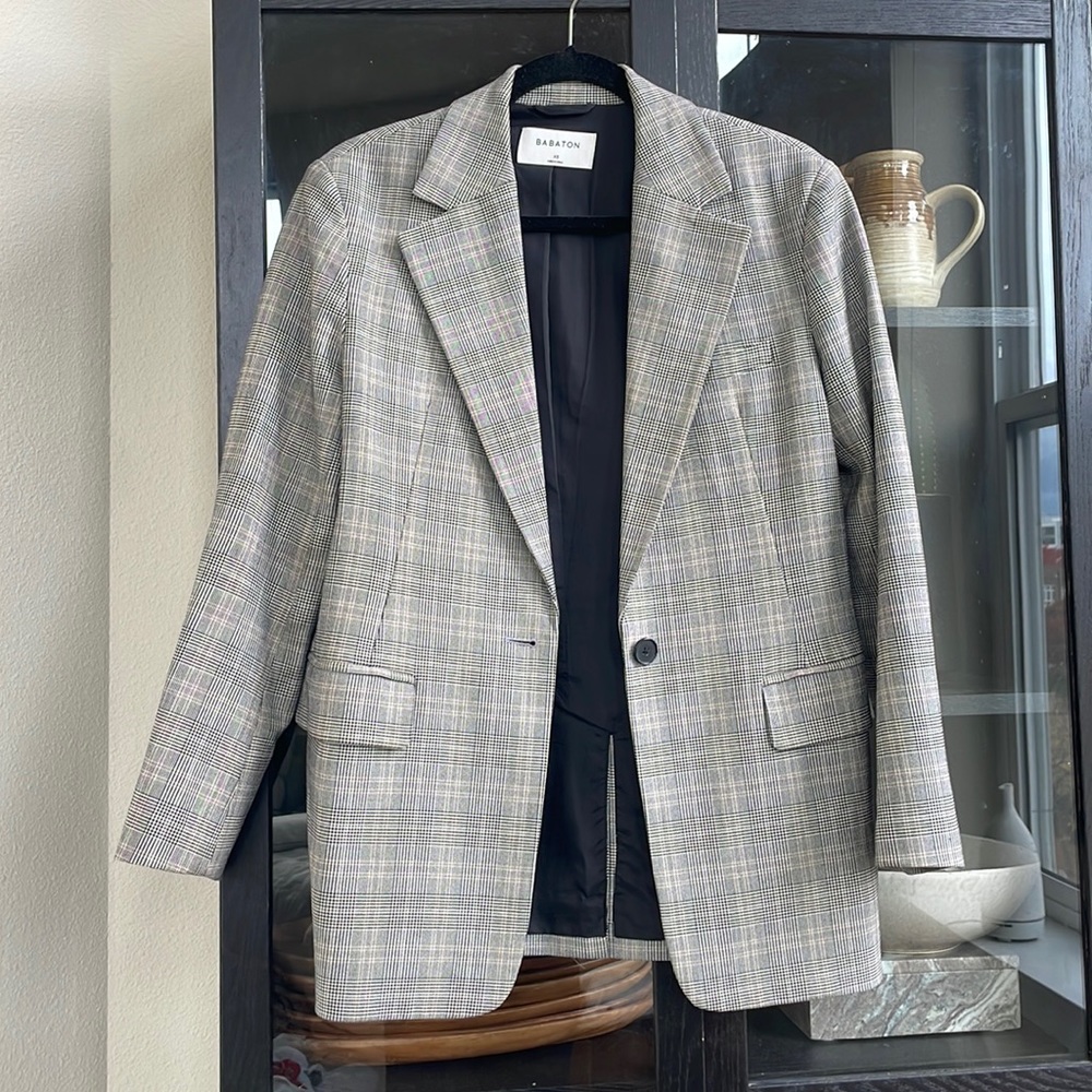 Aritzia Babaton Blazer